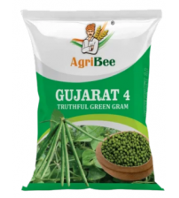 Greengram / Moong Gujarat 4 1 Kg